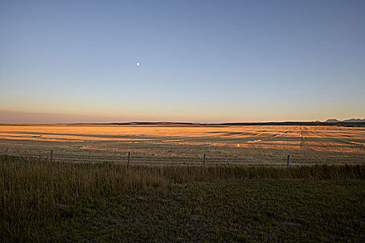 空,地点,日落,夹锭钳,溪流,艾伯塔省,加拿大
