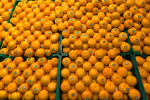 橘子,盒子,水果摊,荷兰