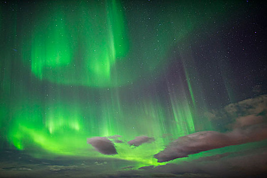北极光,拉普兰,瑞典