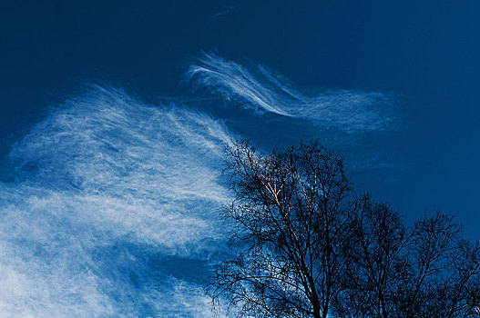 蓝天,云,上方,国家公园,哈尔茨山