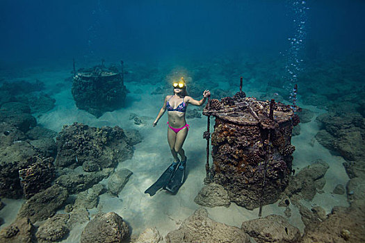 水下视角,女人,海底,潜水,瓦胡岛,夏威夷,美国