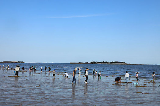 山东省日照市,游客赶海拾贝,踏浪嬉水,桃花岛成国庆节热门打卡地