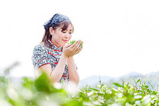 亚洲人,漂亮,女孩,种植园