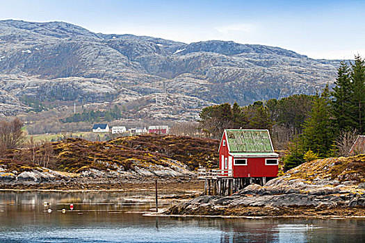 老,红色,木屋,站立,海岸,挪威