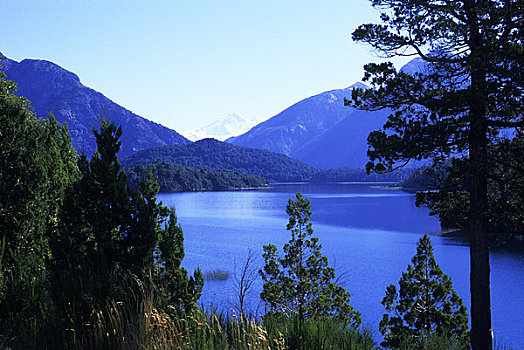 阿根廷,靠近,巴里洛切,湖,纳韦尔瓦皮,湖区,风景