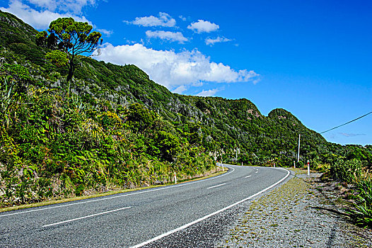 公路,西部,海岸,南岛,新西兰