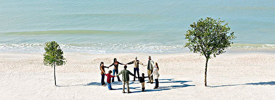 人群,握手,圆,两个,树,海滩