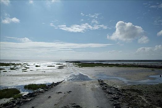 风景,水