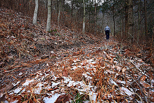 四明山,青虎湾岗,冬天,雪,山林