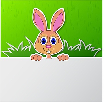 兔子,卡通,空白标志
