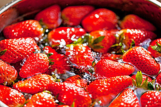 一盆正在清洗中的草莓