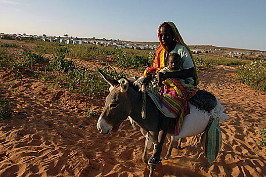 女人,驴,孩子,利雅得,露营,人,近郊,西部,达尔富尔,苏丹,十一月,2004年