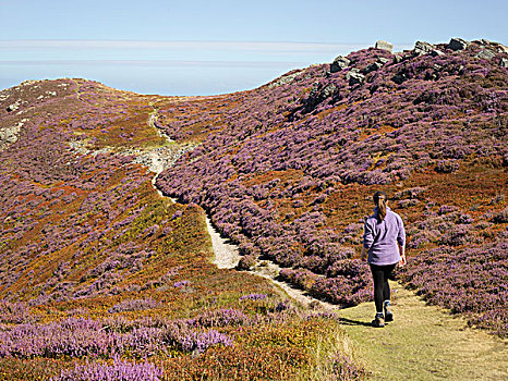 行走,风景,山,北威尔士