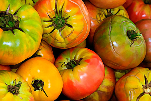 美国,乔治亚,有机,西红柿,农贸市场
