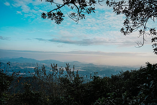 初冬12月登高羊城广州帽峰山沿途美景