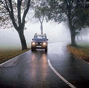 道路,雨,路湿,汽车,树,叶子,路虎,吉普车