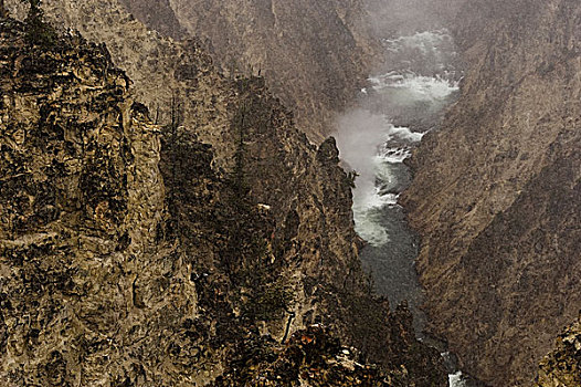 黄石国家公园,yellowstonenationalpark