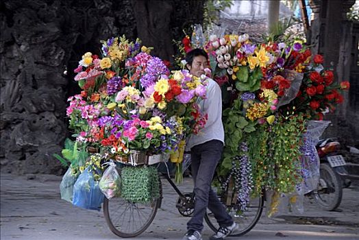 花,销售人员,推,自行车,超负荷,彩色,河内,越南,亚洲