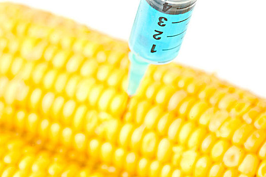 注射器,注射,蓝色,液体,玉米,白色背景