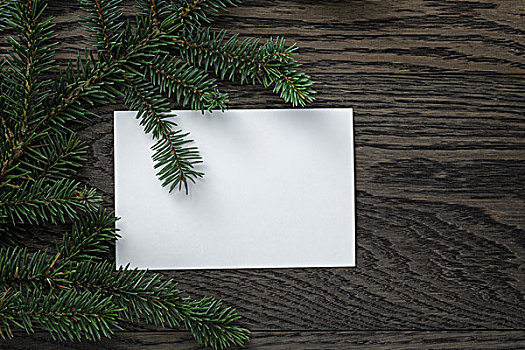 杉枝,纸,卡片,橡树,桌子,俯视,圣诞节,背景