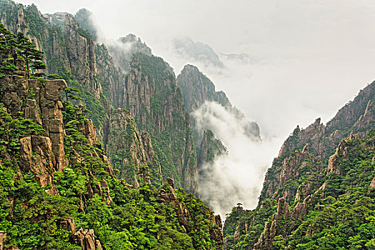 雾气,顶峰,山谷,大峡谷,西部,海洋,山,掸邦,黄山