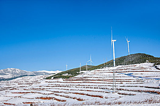 云南东川红土地,打马坎,雪后风力发电机群