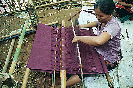 女人,长袍,和尚,节日,禁止,比哈尔邦,孟加拉,八月,2006年