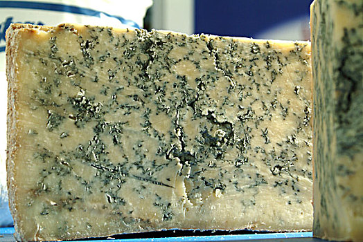 蓝纹奶酪,特色食品,食物,伦敦,九月,2007年