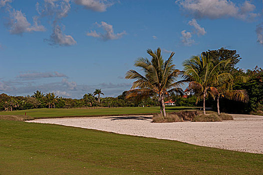 多米尼加共和国,蓬塔卡纳,高尔夫球场