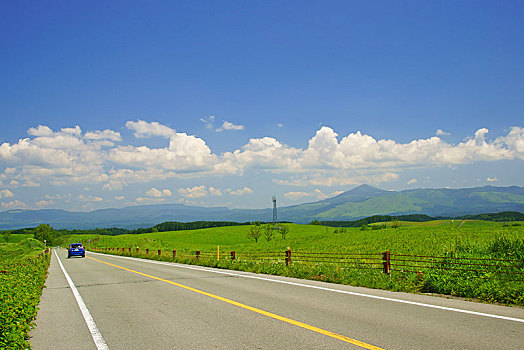 道路,草地,熊本,日本