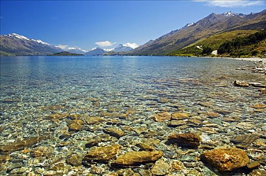 新西兰,南岛,清晰,水,瓦卡蒂普湖,靠近,皇后镇
