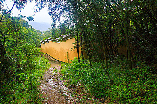 鄞州,塘溪镇,天福寺,寺庙,建筑