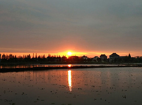 夕阳,落日,夕阳无限好