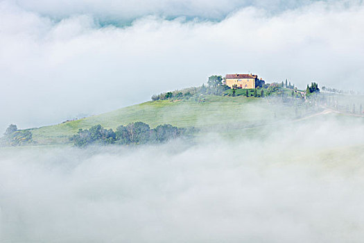 特色,托斯卡纳,风景,农场,早晨,雾,靠近,皮恩扎,锡耶纳,地区,意大利