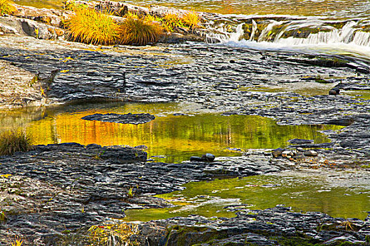 秋天,反射,汽船,溪流,尤姆瓦国家森林公园,俄勒冈,美国