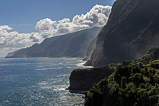 悬崖,马德拉岛,葡萄牙,欧洲