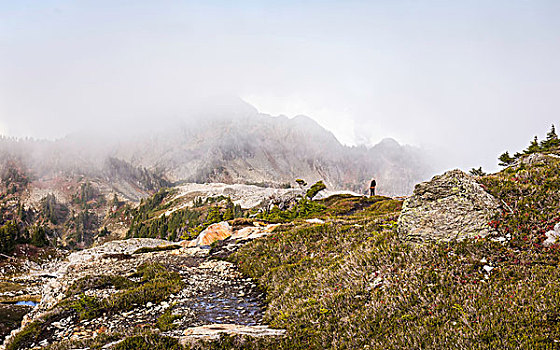 远足,看,云,山峰,贝克山,华盛顿,美国