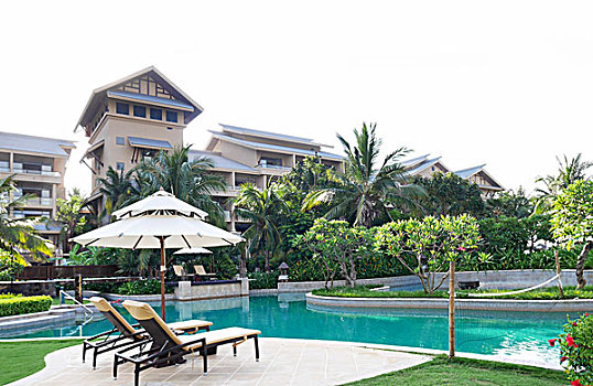 泳池,园林,椰子树,阳伞,酒店