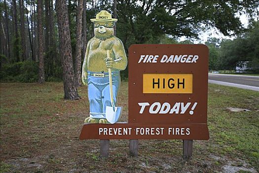 火灾,危险,高,今日,烟,树林,佛罗里达,美国