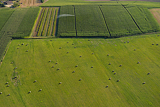 法国,航拍,绿色,地点,干草堆,前景,玉米田,背景