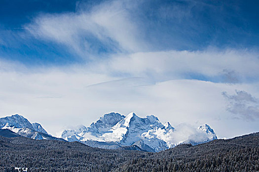 雪盖,树林,正面,山丘