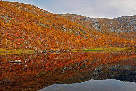 秋天,湖,反射,后面,岩石构造,瀑布,靠近,拉普兰,瑞典,欧洲