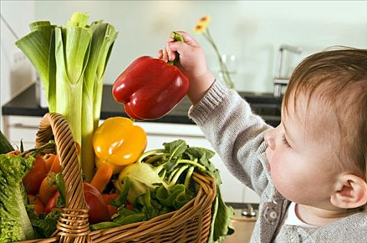 幼儿,红椒,室外,篮子,蔬菜