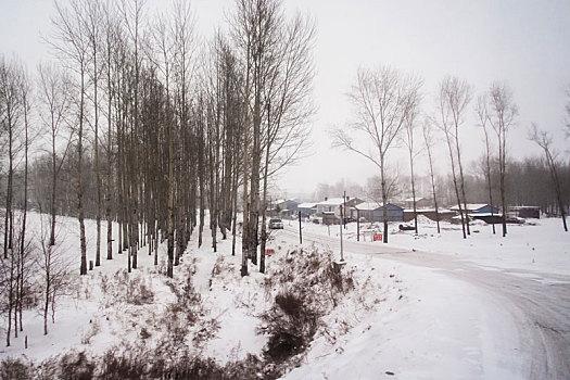 齐齐哈尔雪原