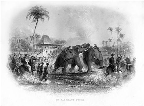 大象,争斗,印度,19世纪,艺术家,未知