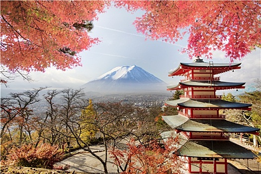 山,富士山,秋色,日本,效用,使用