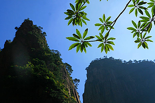 黄山风光