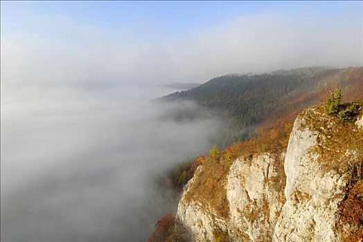 晨雾,上方,多瑙河,山谷,巴登符腾堡,德国,欧洲