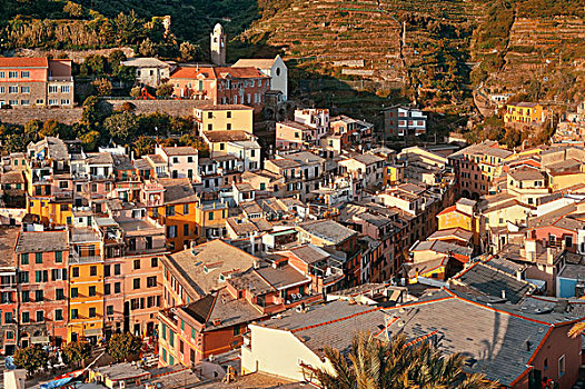 维纳扎,建筑,岩石上,俯视,海洋,五渔村,意大利