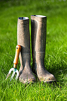 胶靴,园艺工具,草地
